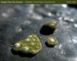 images-from-the-journey