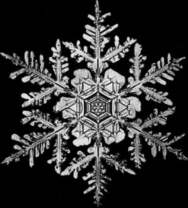 Bentley's Snowflake