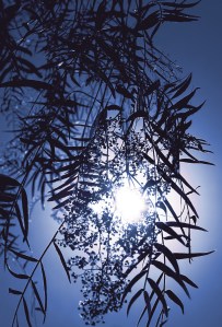 all-our-realities-are-backlit-by-something-greater