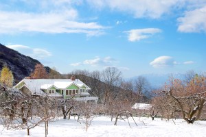 house-in-the-snow